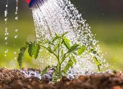 حفاظت خاک و آب