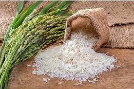 ایستگاه تحقیقات تست ۱