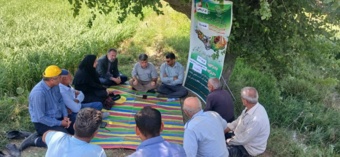 برگزاری کارگاه تغذیه برنج در شالیزارهای شهرستان بهشهر