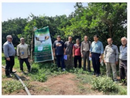 آشنایی عملی باغداران با روش‌های کنترل مگس مدیترانه در قائم‌شهر