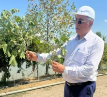 بازدید علمی از مزارع پنبه شرق مازندران با هدف ارتقای بهره‌وری و مقابله با آفات نوظهور