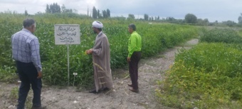 تجلیل از تلاش‌های پژوهشی در نشست بصیرتی در ایستگاه تحقیقات زراعی قراخیل