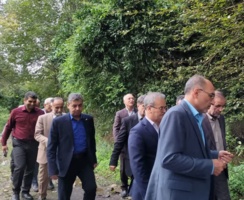 بازدید از توده‌های ارزشمند درختان بومی و غیربومی چمستان