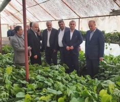 تجلیل مدیرکل آموزش و پرورش مازندران از پویایی و شادابی هنرستان شهدای واحد آموزش سلمانشهر