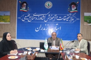 نشست راهبردی برای ارتقای کشت پاییزه  در مرکز تحقیقات و آموزش کشاورزی مازندران