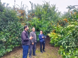 بازدید میدانی برای انتخاب باغدار نمونه استان