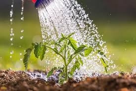 واحد آموزشی ۳