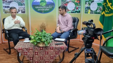 بررسی تخصصی مدیریت کشت کلزا