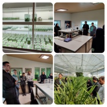 بازدید تخصصی کمیته فنی نهال استان از مجموعه پیشرفته کشت بافت گیاهان زینتی در نوشهر