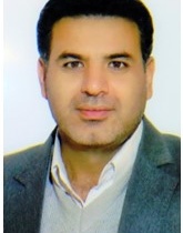 هادی شوریده