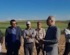 ایستگاه تحقیقات کشاورزی دیم شیروان؛ پیشگام ۳۰ ساله در تولید دانش و معرفی ارقام مقاوم