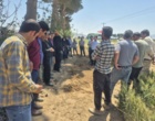مقایسه ارقام غلات استان کشت شده در طرح کرتهای کنترلی