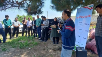 برگزاری روز مزرعه زیره سیاه