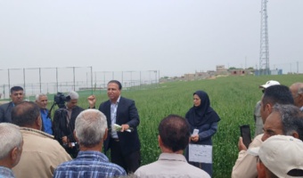 ‌برگزاری روز مزرعه در مزرعه الگویی PVS و PNT