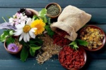 شناسایی بیش از ۴۰۰ گونه گیاه دارویی