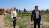 از کلکسیون گیاهان دارویی
