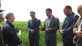 رسیدن به خودکفایی محصولات کشاورزی و پایداری تولید  در گرو  تولید و تامین و استفاده از بذر اصلاح شده