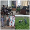 از مزارع گندم و انبار توزیع بذر پنبه شهرستان مانه