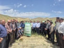 برگزاری روز مزرعه مقایسه ارقام گندم دیم خراسان شمالی  - بجنورد