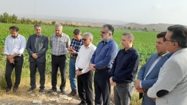 بازدید رئیس موسسه آموزش و ترویج کشاورزی از استان خراسان شمالی