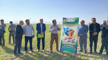 برگزاری نهمین کاروان ترویج بهره وری الگوی کشت ملی محصولات زراعی با رویکرد تغییر اقلیم