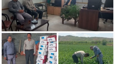 از مزارع گندم و انبار توزیع بذر پنبه شهرستان مانه