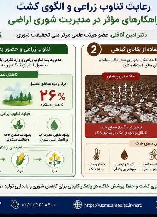 تناوب زراعی و الگوی کشت