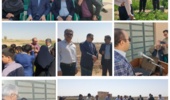 برگزاری «روز انتقال یافتههای تحقیقاتی کشاورزی در شرایط شور» در استان یزد با هدف افزایش بهرهوری و توانمندسازی کشاورزان