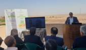 اصلاح علمی خاک و انتخاب گیاهان مقاوم، کلید افزایش بهره‌وری در کشاورزی شور