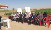 گامهای استوار کشاورزی یزد درمسیر تغییر الگوی کشت