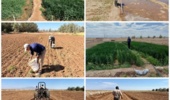 معاون پژوهش و فناوری مرکز ملی تحقیقات شوری از پیگیری جدی اجرای پروژه های تحقیقاتی در شرایط ویژه کشور خبر داد.