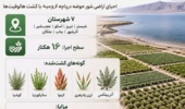 همکاری مرکز ملی تحقیقات شوری در توسعه کشت گیاهان شورزیست در شهرستان‌های اطراف دریاچه ارومیه در استان آذربایجان‌شرقی