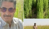 کشاورزی شورزیست راهکاری مؤثر برای افزایش تاب‌آوری کشاورزی و امنیت غذایی است.