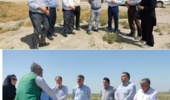 بازدید هزارجریبی رئیس سازمان جهاد کشاورزی استان گلستان از مزرعه پایلوت آتریپلکس در منطقه گمیشان