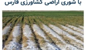 برنامه‌های مرکز ملی تحقیقات شوری برای مقابله با شوری استان فارس در خبرگزاری ایسنا