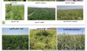 برگزاری جلسه برنامه‌ریزی کشت گیاهان شورزیست در سال زراعی جدید