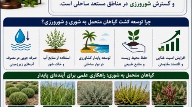 ورود موضوع شورورزی به اسناد بالادستی کشور