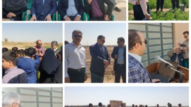 برگزاری «روز انتقال یافته‌های تحقیقاتی کشاورزی در شرایط شور» در استان یزد با هدف افزایش بهره‌وری و توانمندسازی کشاورزان