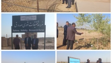 بازدید رئیس موسسه تحقیقات فنی مهندسی کشاورزی از مزرعه تحقیقات شوری صدوق وابسته به مرکز ملی تحقیقات شوری