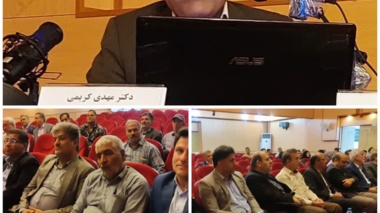 مصرف بهینه کود اوره در شرایط شور، عملکرد گندم را تا دو برابر افزایش می‌دهد.