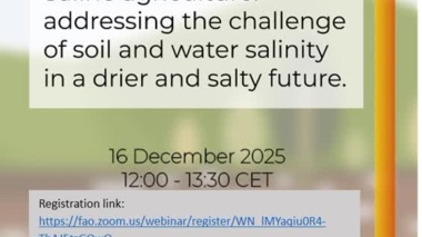 Joint INSAS/WASAG Webinar "Saline agriculture: addressing the challenge of soil and water salinity in a drier and salty future"