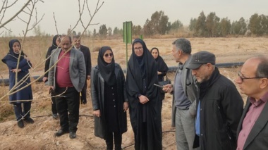 مورخ ۲۱ بهمن‌ماه ۱۴۰۴ بازدید مشترک مرکز ملی تحقیقات شوری و مرکز تحقیقات کشاورزی و منابع طبیعی استان سمنان از ایستگاه تحقیقات علوم دامی و منابع طبیعی گرمسار انجام شد.