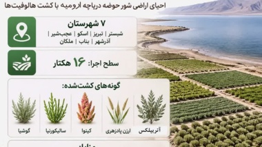 همکاری مرکز ملی تحقیقات شوری در توسعه کشت گیاهان شورزیست در شهرستان‌های اطراف دریاچه ارومیه در استان آذربایجان‌شرقی