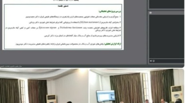 برگزاری ۱۳۵مین جلسه کمیته علمی-فنی مرکز ملی تحقیقات شوری