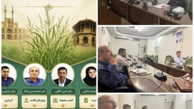 برگزاری کــــارگاه آموزشی «مدیریت به زراعی ارزن پادزهری»