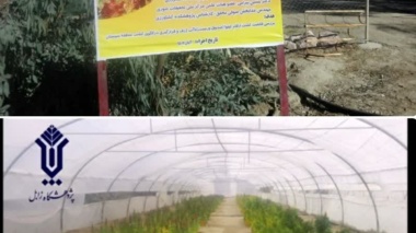 همکاری مرکز ملی تحقیقات شوری با پژوهشگاه زابل