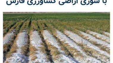 برنامه‌های مرکز ملی تحقیقات شوری برای مقابله با شوری استان فارس در خبرگزاری ایسنا