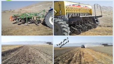 کم‌خاک‌ورزی؛ انتخاب برتر برای افزایش تولید گندم در اراضی شور فارس
