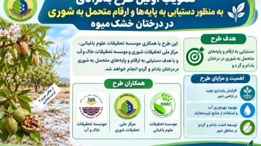 تصویب اولین طرح به نژادی به‌منظور دستیابی به پایه‌ها و ارقام متحمل به شوری در درختان خشک‌میوه