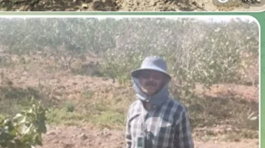 برنامه پایش شوری خاک در باغات پسته اصفهان و کرمان